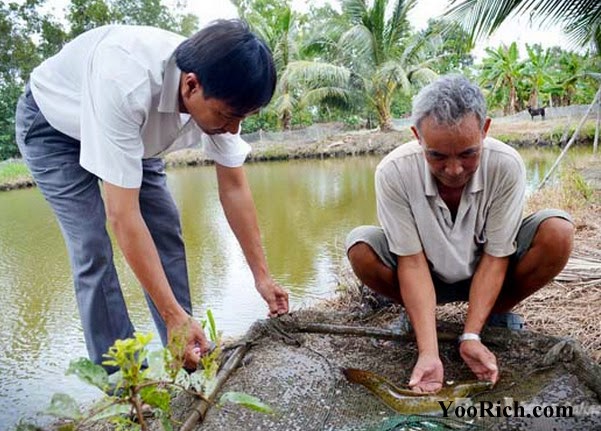 Cựu sinh viên Đại học Nha Trang và bài học làm giàu từ Thủy sản
